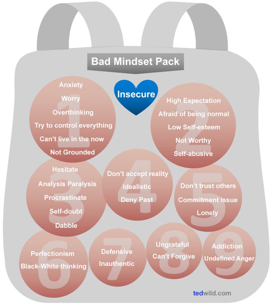 The Bad Mindset Pack - tedwild.com